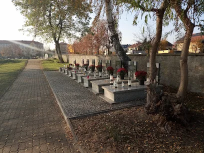 Cmentarz choleryczny